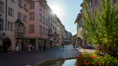 Rhine Falls & Medieval Treasures Private Tour
