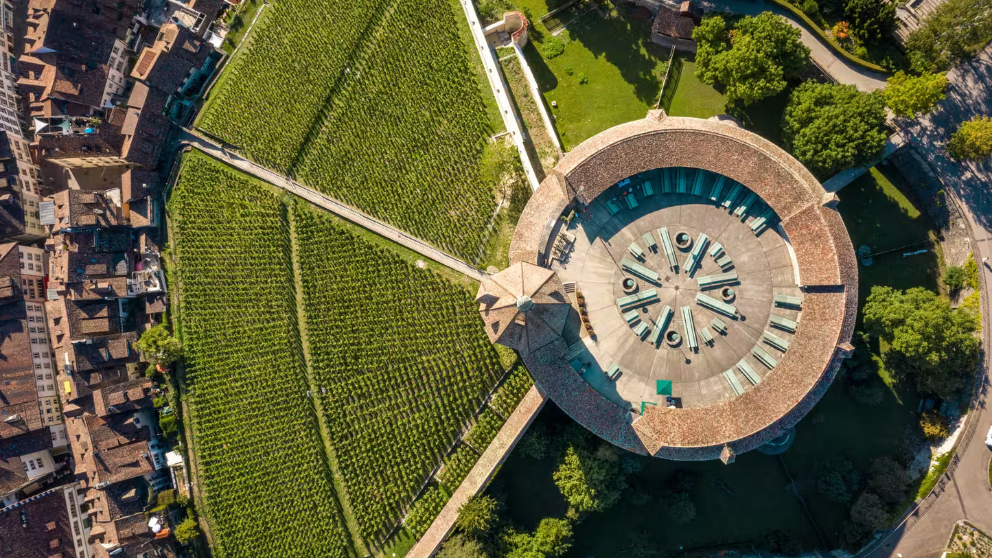 Rhine Falls & Medieval Treasures Private Tour