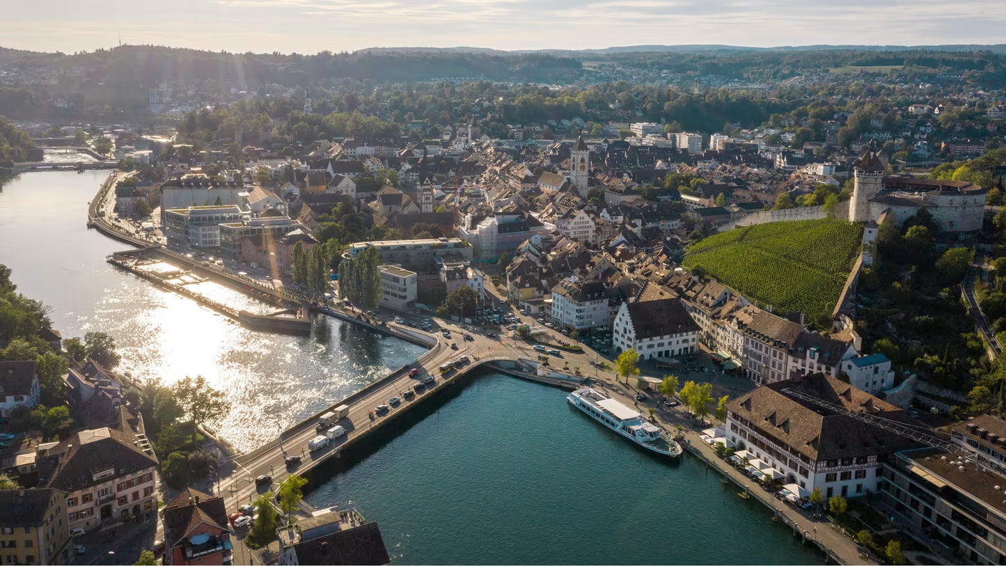 Rhine Falls & Medieval Treasures Private Tour