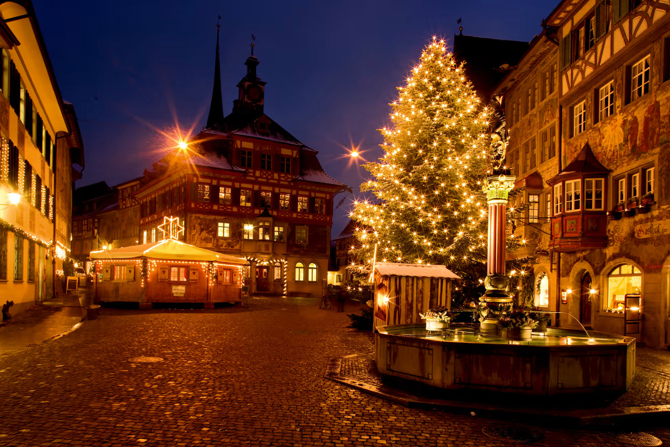 Rhine Falls & Medieval Treasures Private Tour