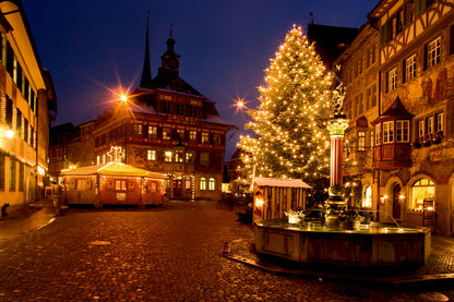 Rhine Falls & Medieval Treasures Private Tour