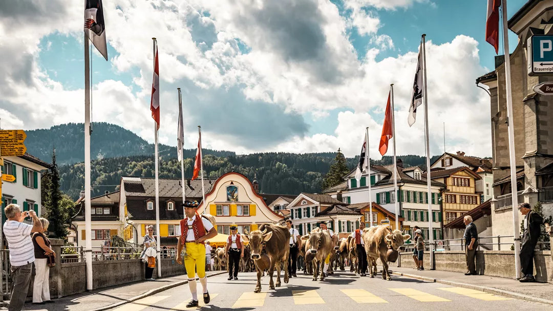 Traditional Swiss Tour – Appenzell, Cheese & Chocolate